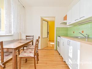 Pronájem bytu 1+1, Brno, Barvy, 40 m2