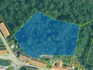 Prodej pozemku, Bechyně, 7030 m2