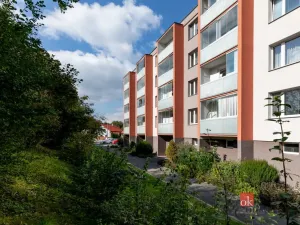 Prodej bytu 3+1, Kelč, 84 m2