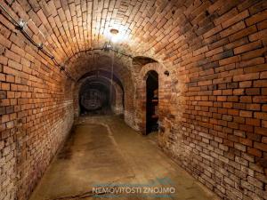 Prodej vinného sklepa, Haugsdorf, Rakousko, 177 m2