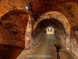 Prodej vinného sklepa, Haugsdorf, Rakousko, 177 m2