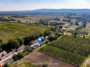 Prodej vinného sklepa, Haugsdorf, Rakousko, 177 m2