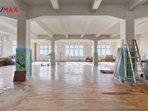 Prodej komerční nemovitosti, Aš, Tyršova, 4985 m2