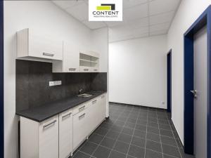 Pronájem skladu, Ostrava - Vítkovice, Halasova, 5195 m2