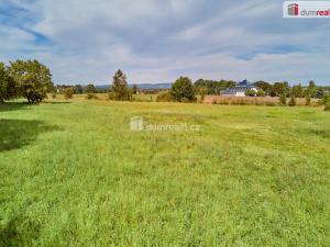 Prodej rodinného domu, Františkovy Lázně - Slatina, 6597 m2