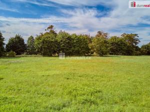 Prodej pozemku pro bydlení, Františkovy Lázně - Slatina, 6597 m2