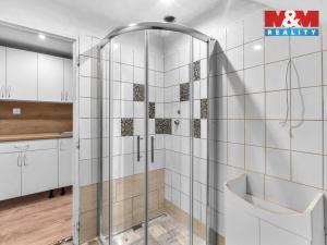 Prodej ubytování, Rokytnice nad Jizerou - Horní Rokytnice, 440 m2