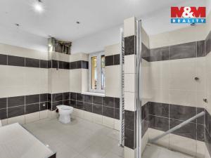 Prodej ubytování, Rokytnice nad Jizerou - Horní Rokytnice, 440 m2