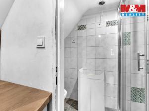 Prodej ubytování, Rokytnice nad Jizerou - Horní Rokytnice, 440 m2