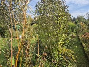 Prodej chaty, Třinec, Kaštanová, 30 m2