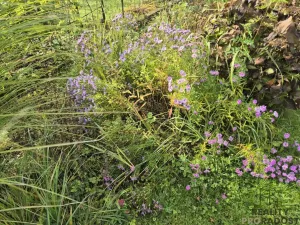 Prodej chaty, Třinec, Kaštanová, 30 m2