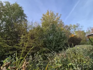 Prodej chaty, Třinec, Kaštanová, 30 m2