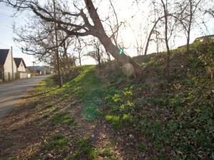 Prodej pozemku pro bydlení, Ptenín, 620 m2