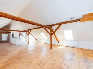 Pronájem bytu 3+1, Úžice, 150 m2