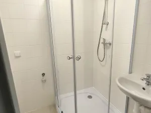 Pronájem bytu 2+1, Bílina, M. Švabinského, 53 m2