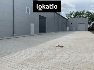 Pronájem skladu, Velká Dobrá, 648 m2