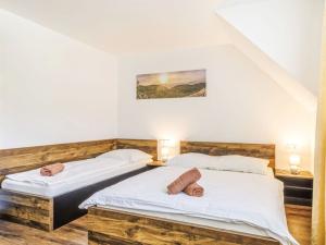 Prodej bytu 2+kk, Červená Voda - Mlýnický Dvůr, 180 m2