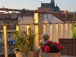 Pronájem bytu 3+kk, Brno, Nové sady, 89 m2