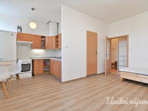 Pronájem bytu 1+kk, Brno, Celní, 33 m2