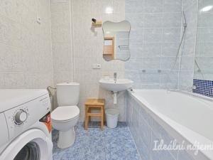 Pronájem bytu 1+kk, Brno, Celní, 33 m2