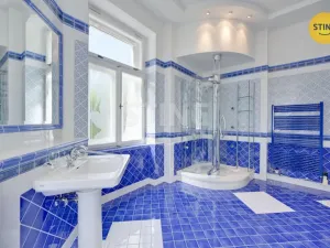 Prodej vily, Luže - Radim, 700 m2