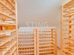 Prodej vily, Luže - Radim, 700 m2