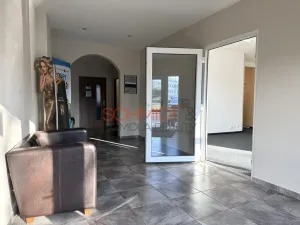 Pronájem obchodního prostoru, Hustopeče, Janáčkova, 29 m2