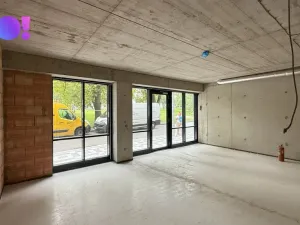 Pronájem obchodního prostoru, Praha, Radimova, 43 m2