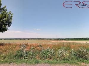 Prodej pole, Čelákovice, 22918 m2