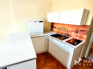 Prodej bytu 2+kk, Praha - Žižkov, Bořivojova, 46 m2