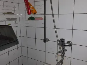 Prodej restaurace, Sušice, Volšovská, 240 m2