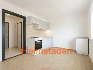 Pronájem bytu 1+1, Havířov - Šumbark, Opletalova, 28 m2