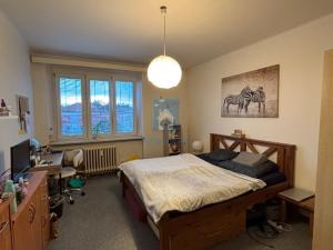 Pronájem bytu 3+1, Plzeň, U Prazdroje, 83 m2