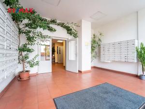 Pronájem bytu 2+kk, Praha - Strašnice, Vinohradská, 38 m2