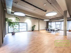 Pronájem kanceláře, Praha - Motol, Plzeňská, 132 m2