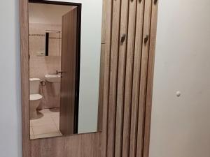Pronájem bytu 1+1, Děčín - Děčín III-Staré Město, Žerotínova, 51 m2