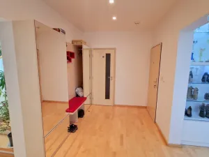 Prodej bytu 4+kk, Brno - Lesná, Majdalenky, 446 m2