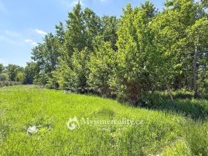 Prodej pozemku, Znojmo - Oblekovice, 8172 m2