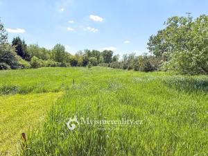 Prodej pozemku, Znojmo - Oblekovice, 8172 m2