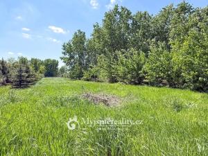 Prodej pozemku, Znojmo - Oblekovice, 8172 m2