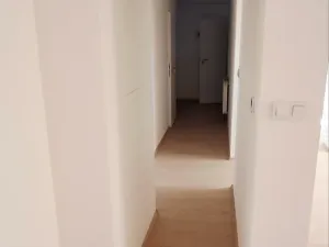 Pronájem bytu 4+kk, Břeclav, Mánesova, 90 m2