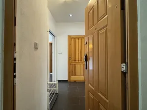 Prodej bytu 1+kk, Olomouc, Wolkerova, 33 m2