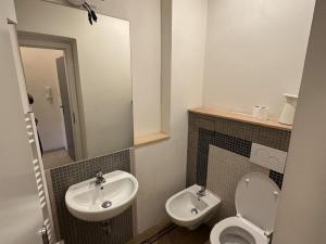 Pronájem bytu 2+1, Praha - Žižkov, Bořivojova, 54 m2