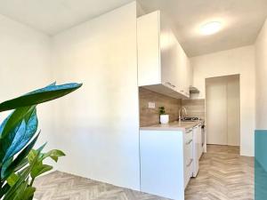 Pronájem bytu 1+1, Kroměříž, Spáčilova, 33 m2