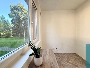 Pronájem bytu 1+1, Kroměříž, Spáčilova, 33 m2