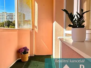 Pronájem bytu 1+1, Kroměříž, Spáčilova, 33 m2