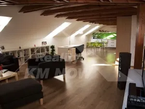 Pronájem bytu 3+kk, Kroměříž, 137 m2