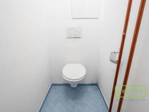 Pronájem bytu 1+1, Liberec, U Potůčku, 40 m2