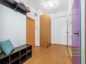 Pronájem bytu 1+1, Liberec, U Potůčku, 40 m2