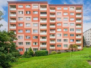 Pronájem bytu 1+1, Liberec, U Potůčku, 40 m2